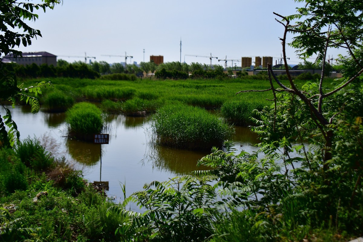周日骑行随手拍