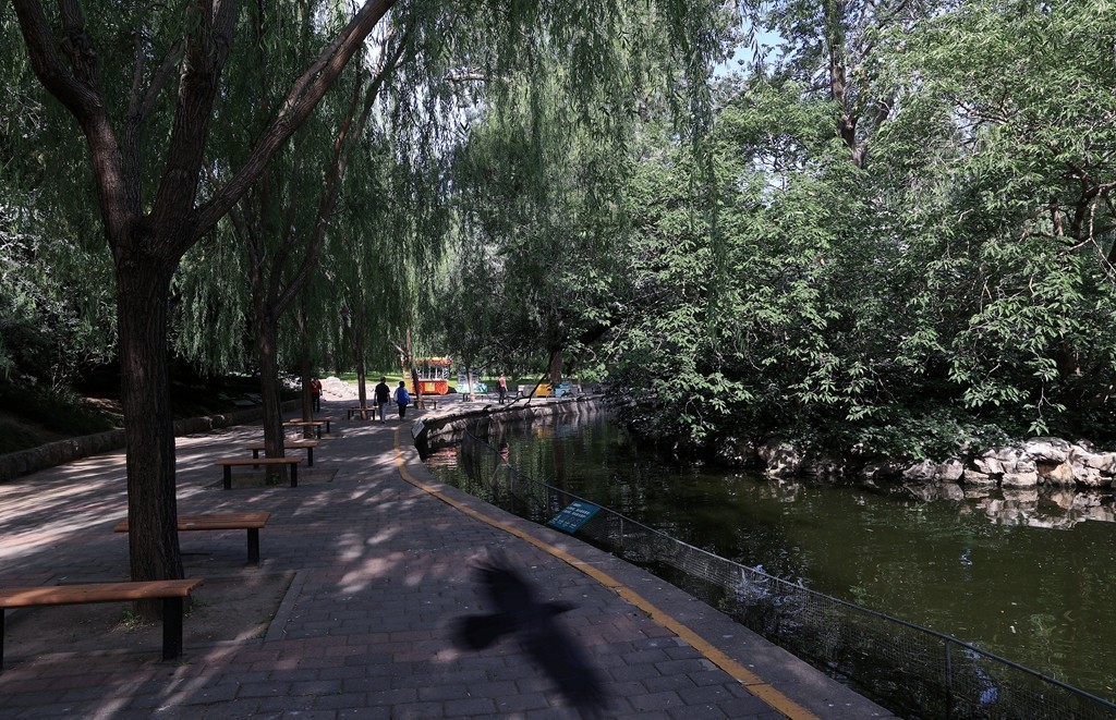 清晨的北京动物园