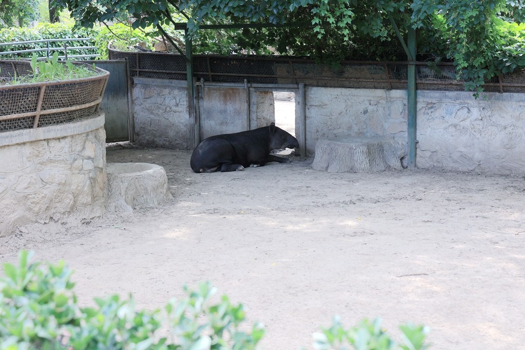 清晨的北京动物园