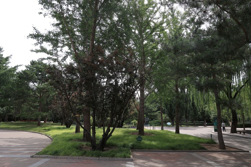 清晨的北京动物园