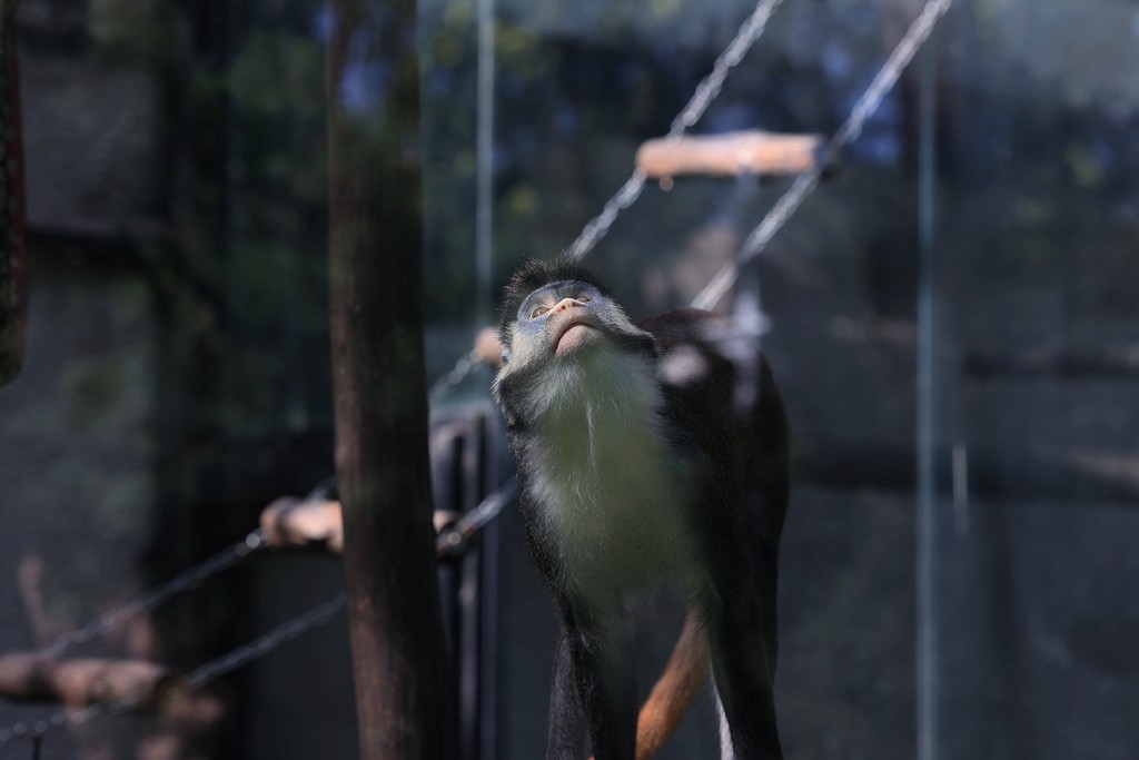 清晨的北京动物园