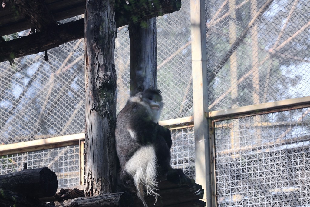 清晨的北京动物园