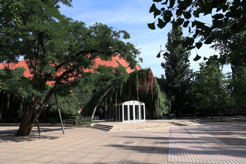 清晨的北京动物园