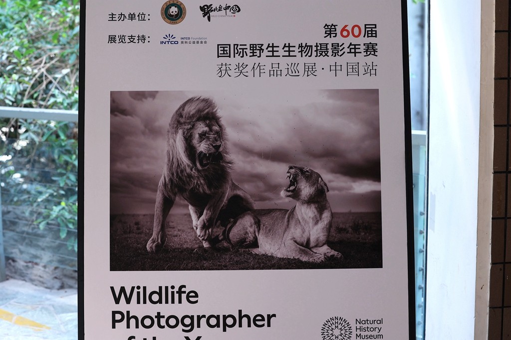 清晨的北京动物园