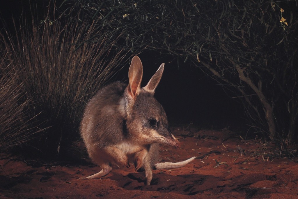 清晨的北京动物园