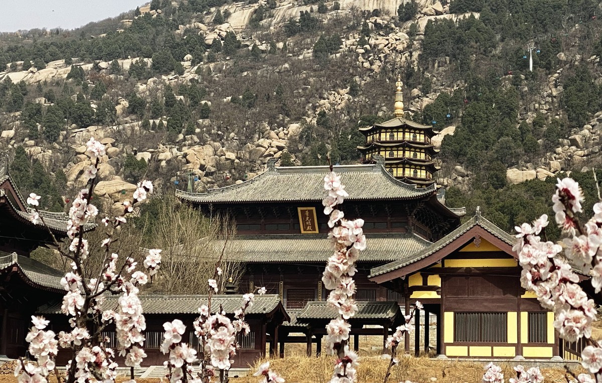 一叶知春梦,回眸百花开；惊春花落树，闻梵涧摇风！