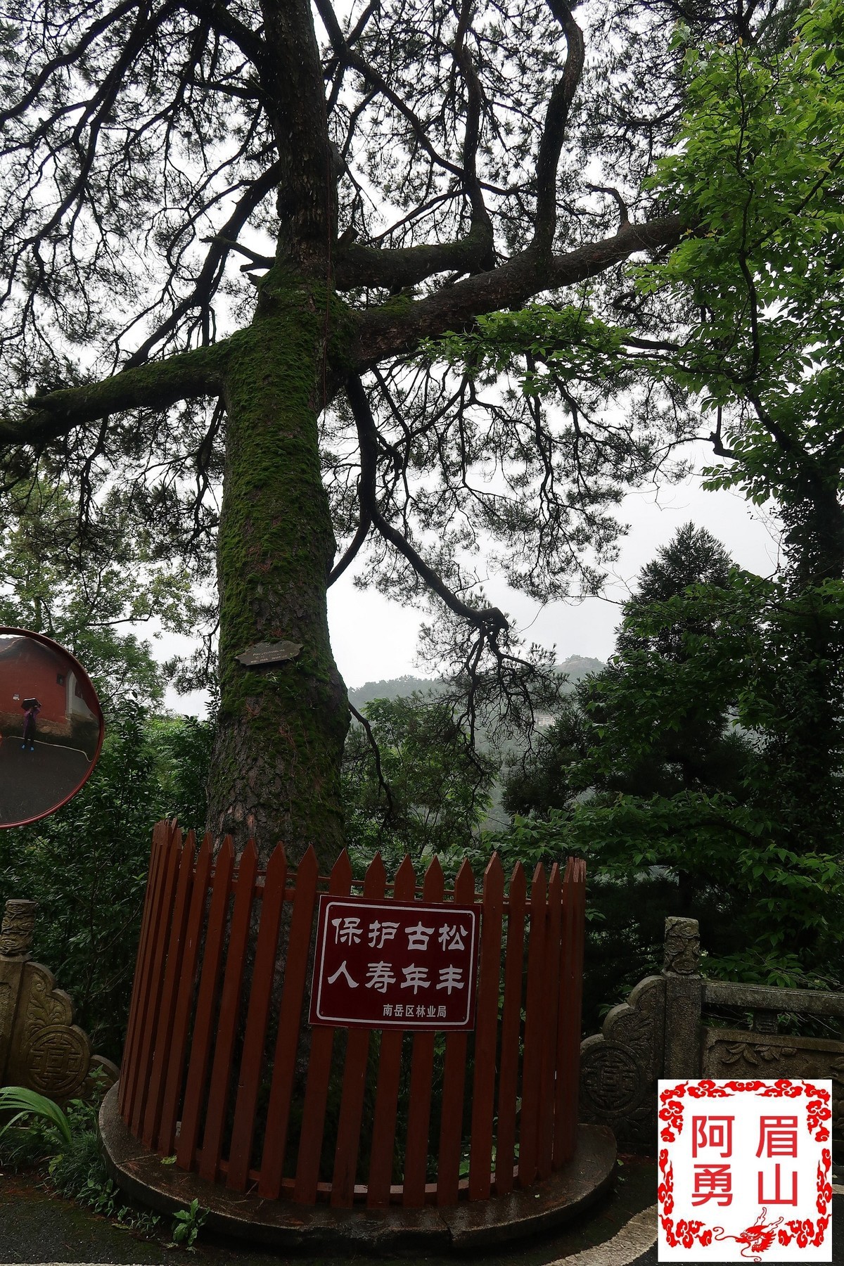 眉山阿勇--南岳之旅