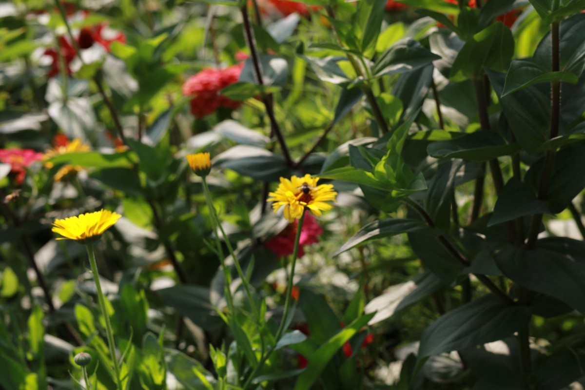 拍的越来越好了