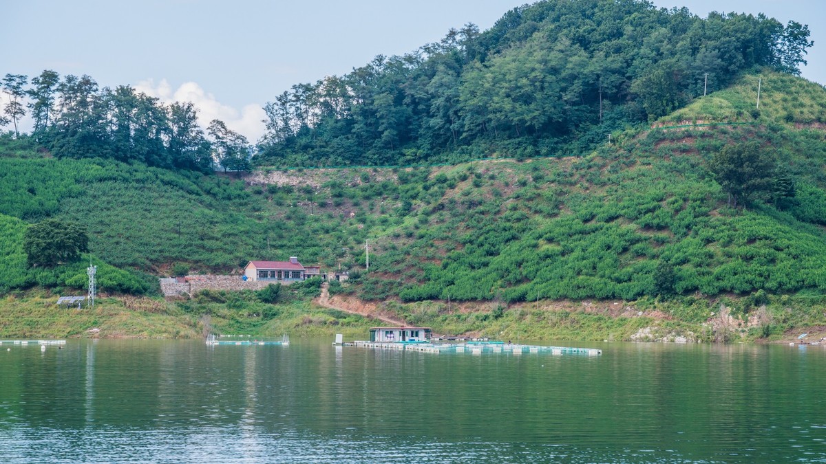 碧波荡漾水丰湖（一）