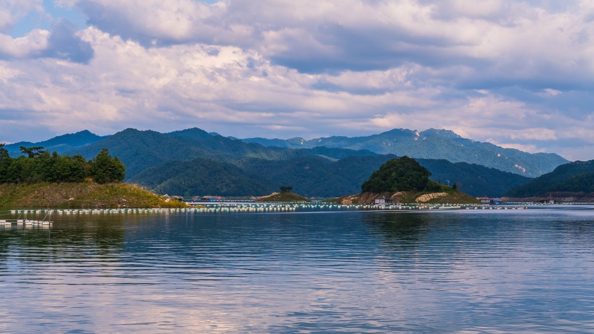 碧波荡漾水丰湖（一）