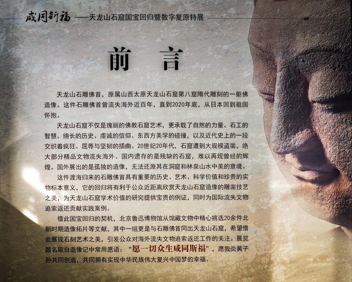 访鲁迅博物馆：一株是枣树，还有一株也是枣树（上）