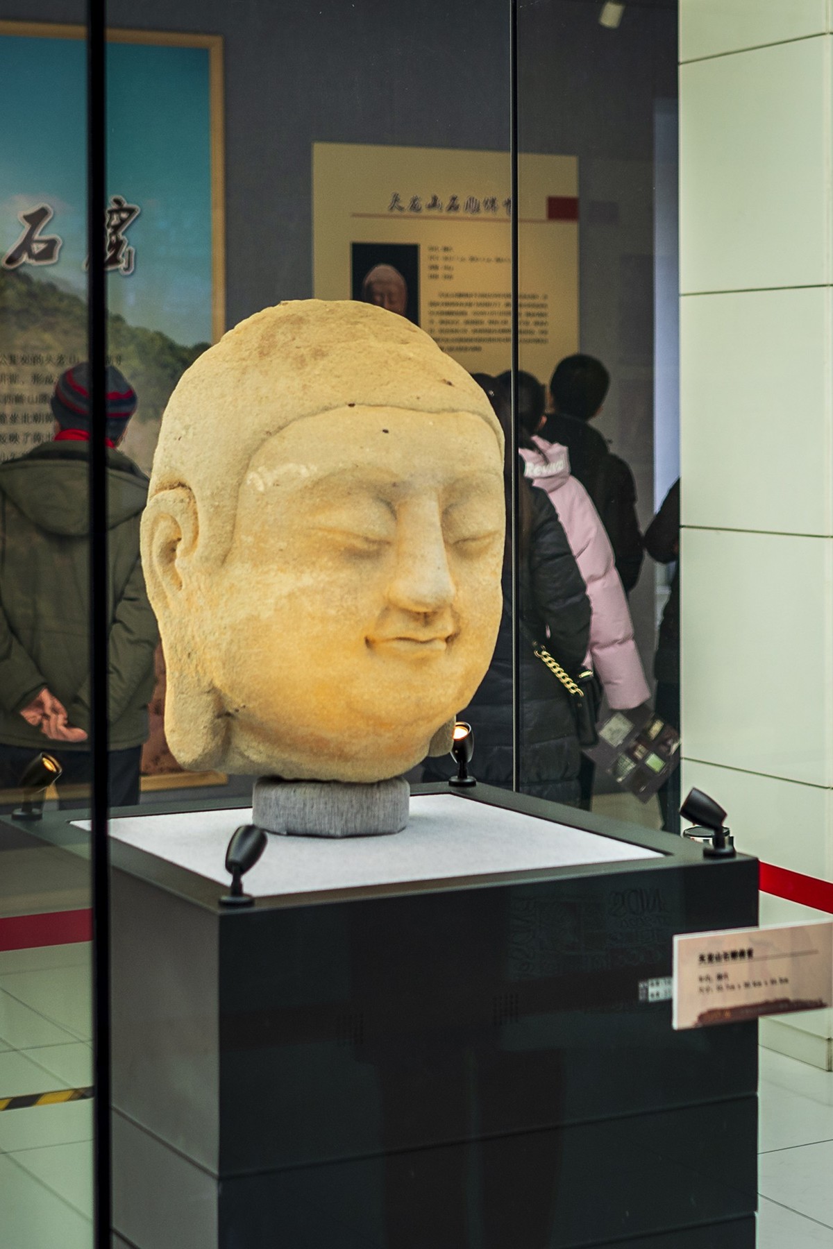 访鲁迅博物馆：一株是枣树，还有一株也是枣树（上）