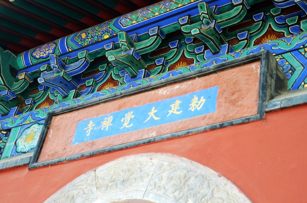 北京西山大觉寺千年银杏树 黄金铺地