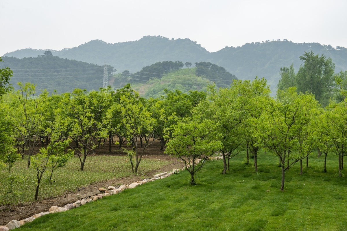 鲜花盛开的小山村天津蓟州区郭家沟掠影