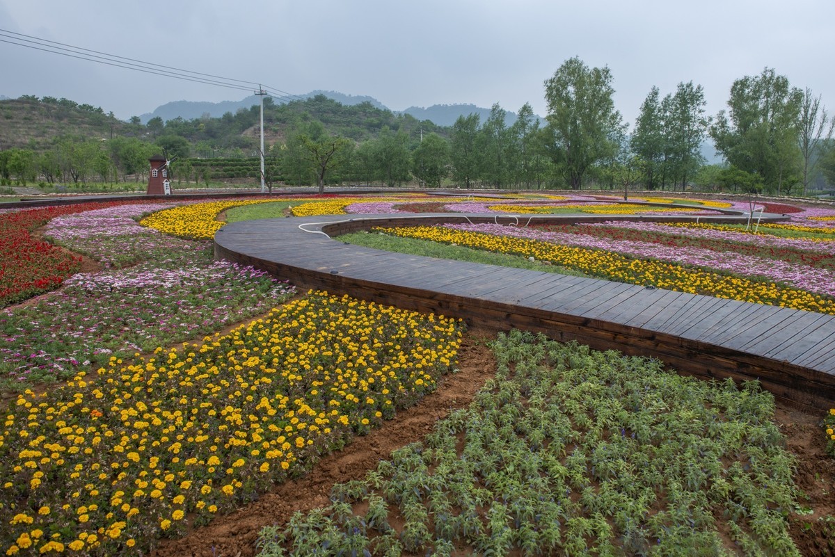 鮮花盛開的小山村天津薊州區郭家溝掠影