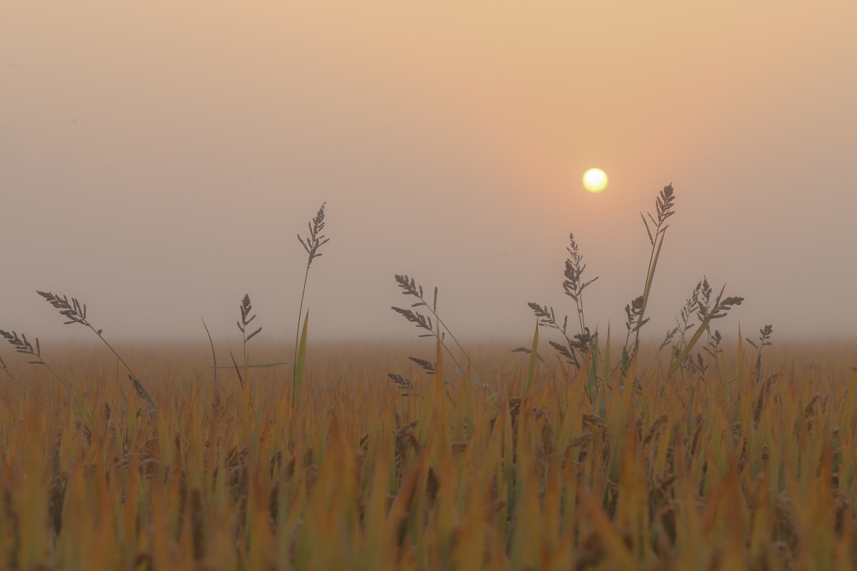 百微拍一些人像
