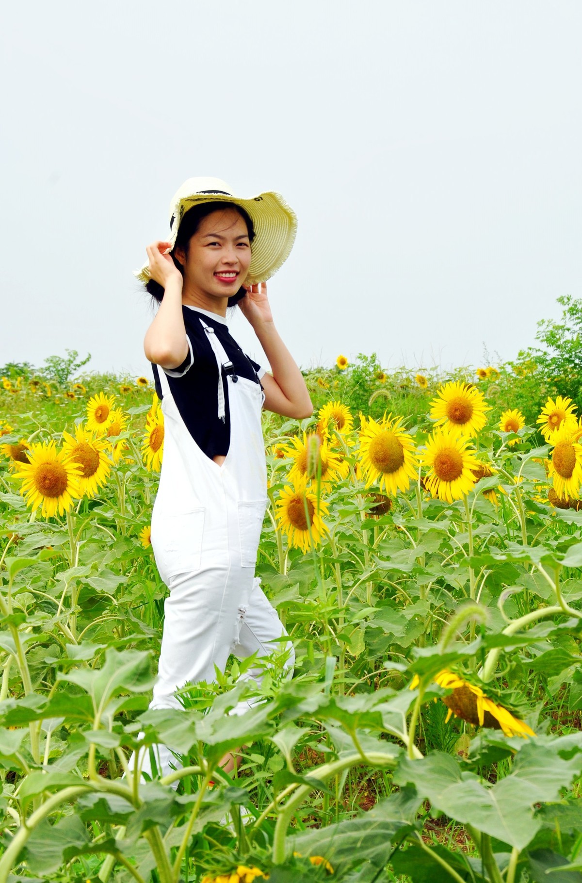 花儿与少女