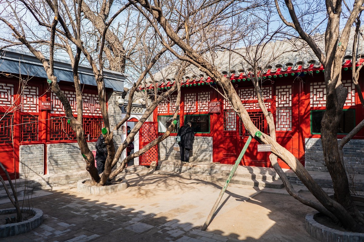 访鲁迅博物馆：一株是枣树，还有一株也是枣树（下）