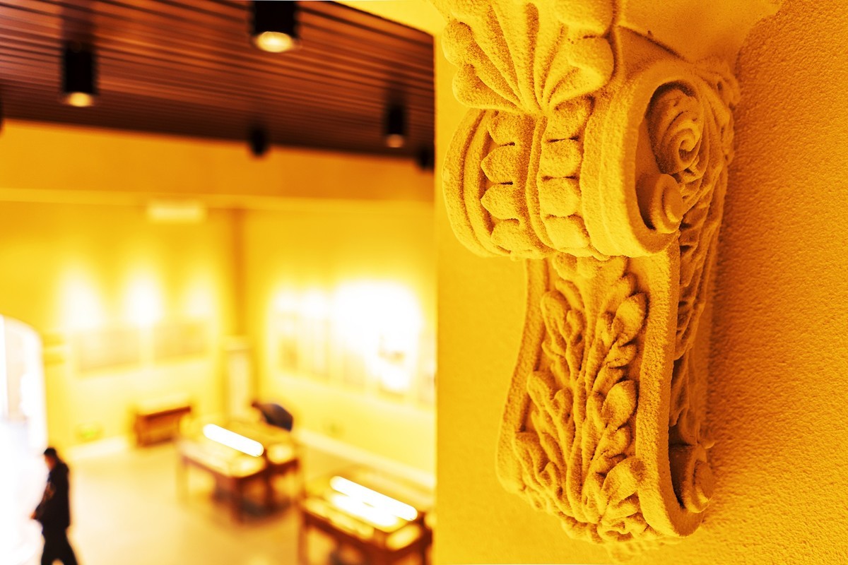 访鲁迅博物馆：一株是枣树，还有一株也是枣树（下）