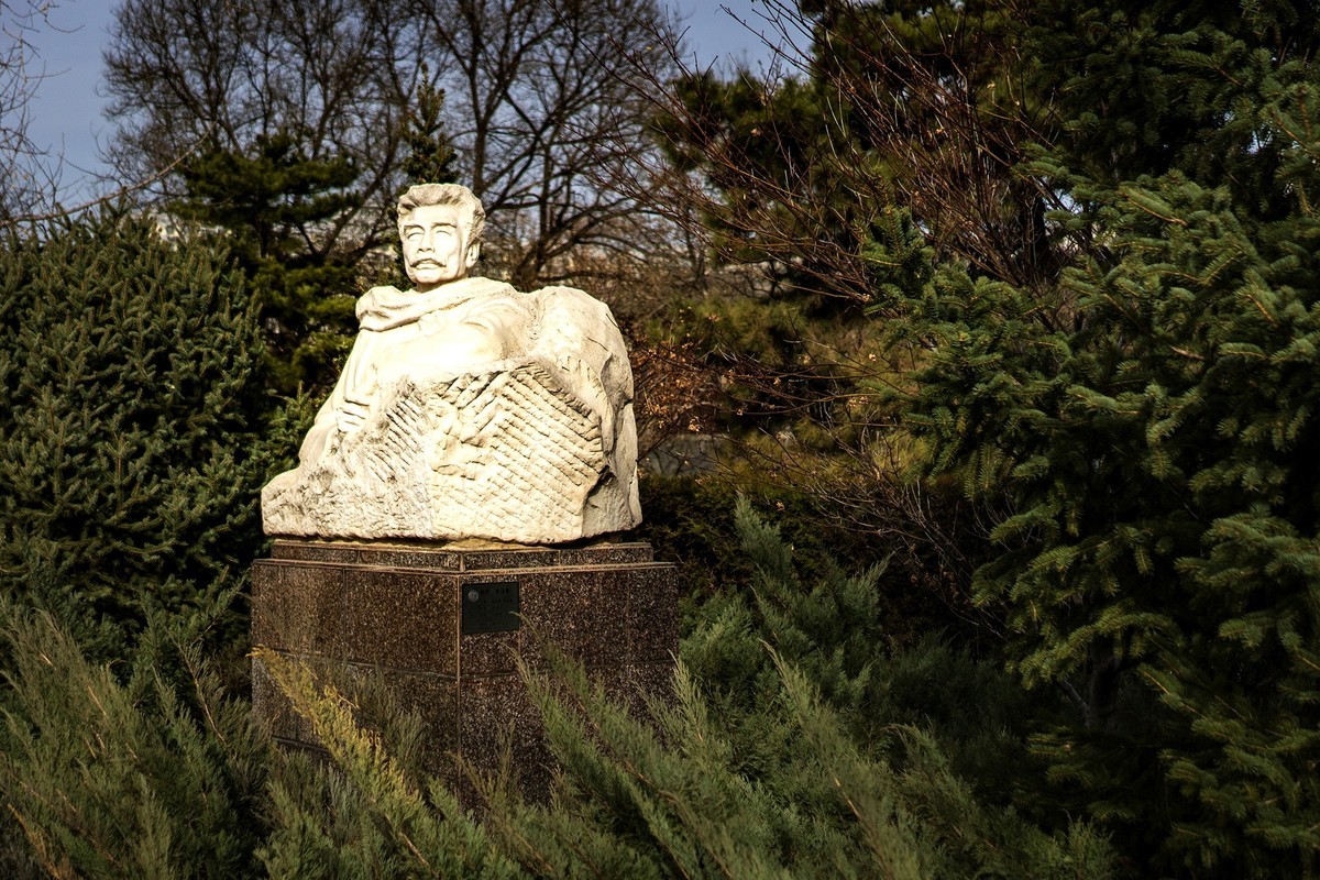 访鲁迅博物馆：一株是枣树，还有一株也是枣树（上）