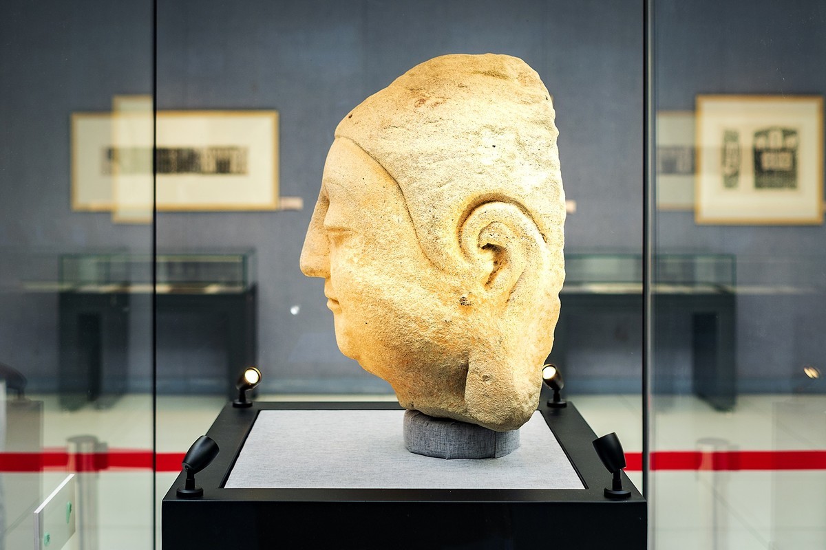 访鲁迅博物馆：一株是枣树，还有一株也是枣树（上）