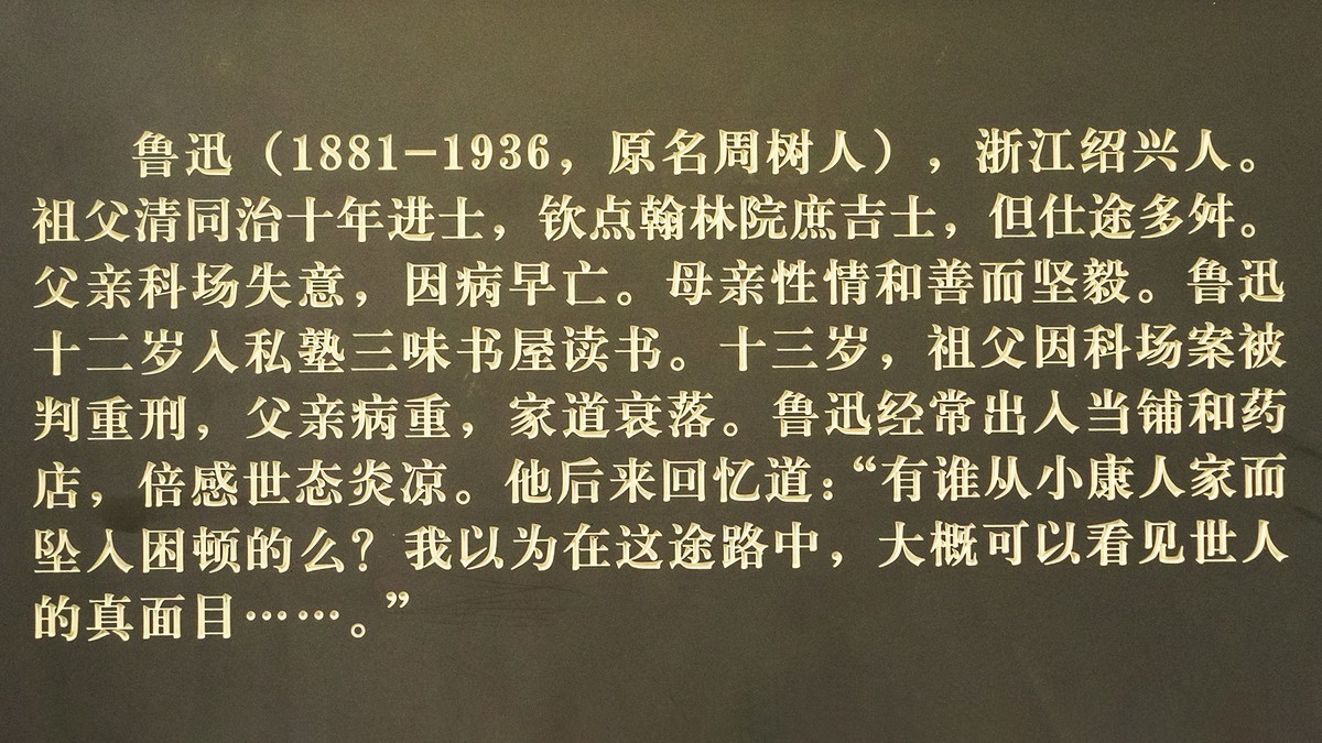 访鲁迅博物馆：一株是枣树，还有一株也是枣树（上）