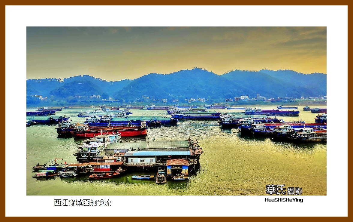 2021南行慢游（广西140）—西江穿城百舸争流（梧州市）