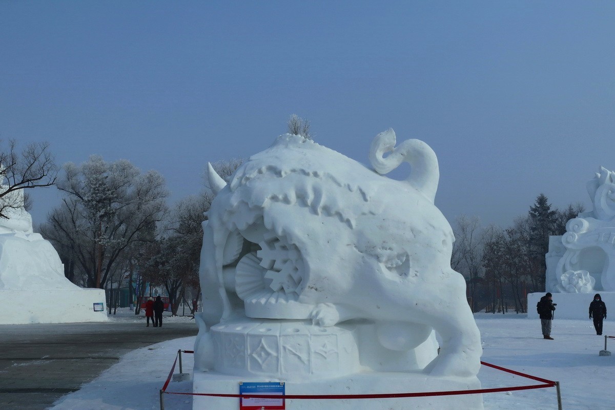 遊太阳岛雪博会---大年初一       6/8
