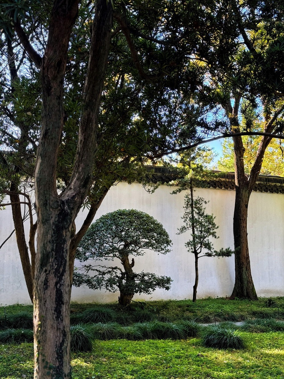 姑苏掠影 . 孙女随拍    2 。