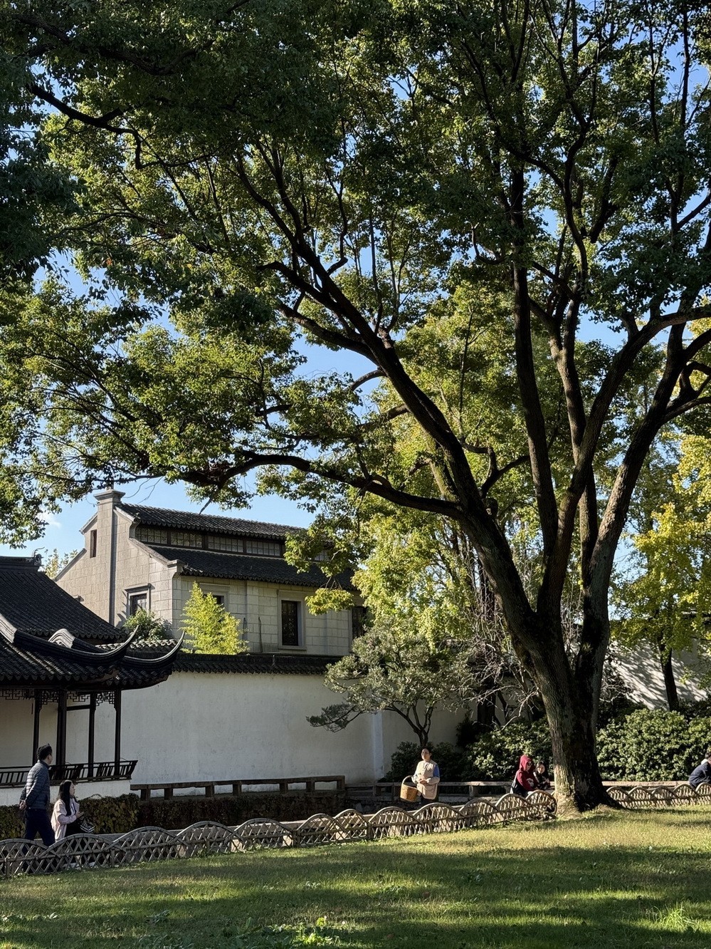 姑苏掠影 . 孙女随拍    2 。