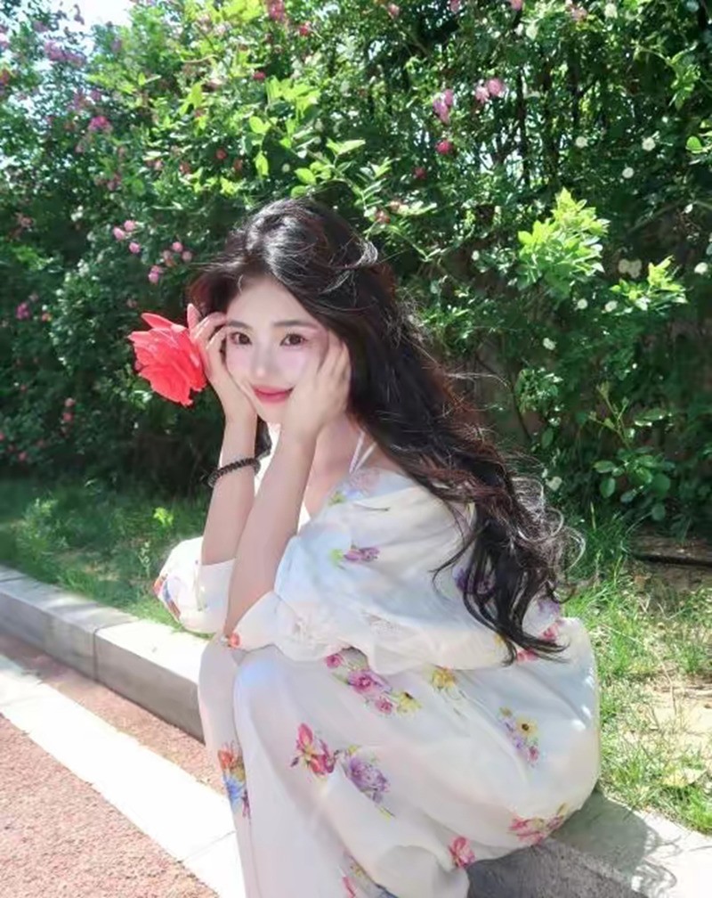 蔷薇与美女--手机图