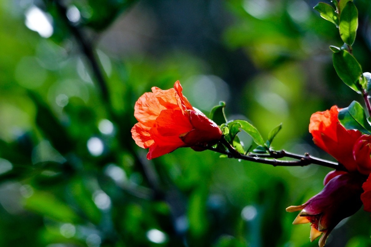 杂拍——明湖初夏