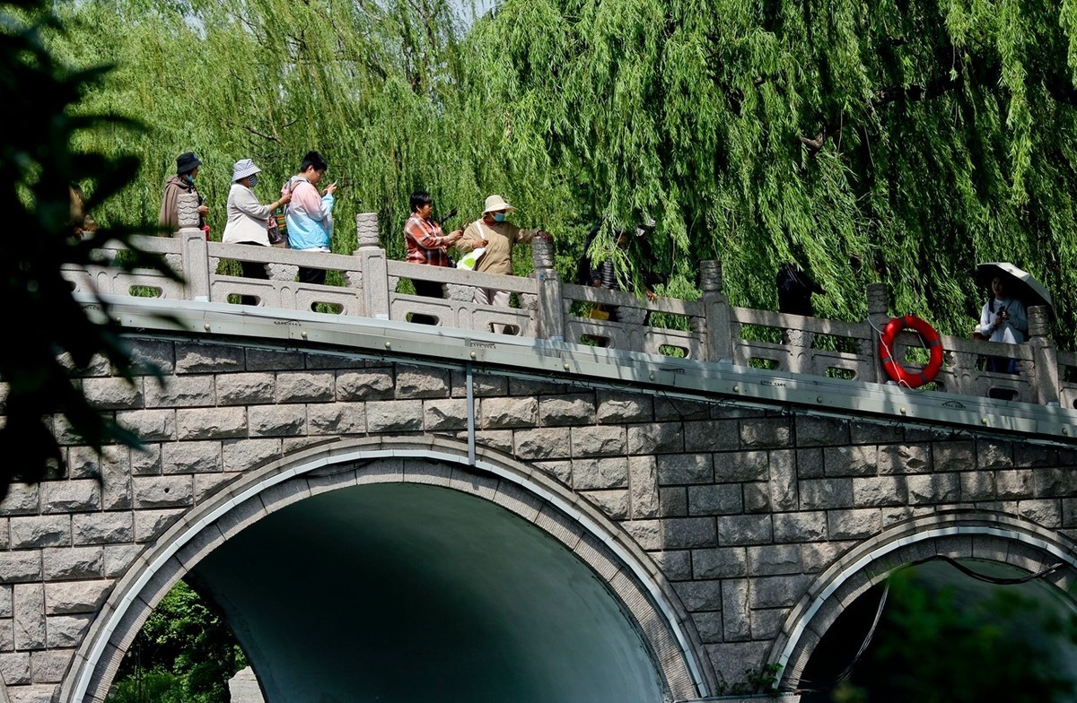 杂拍——明湖初夏