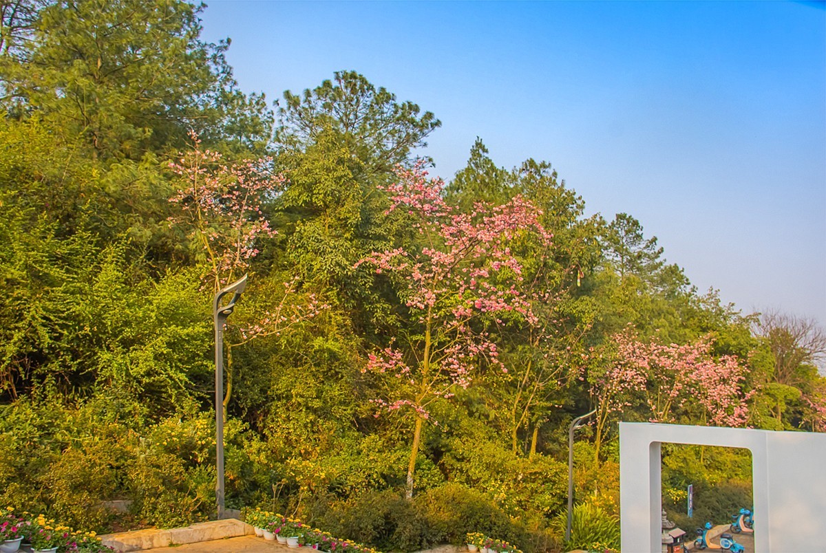 2025-06-08云南玉溪红塔山公园（一）