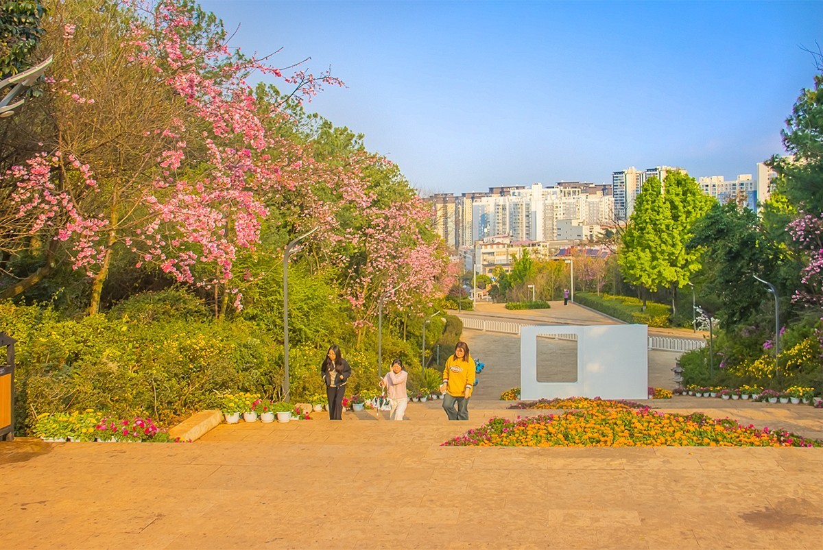 2025-06-08云南玉溪红塔山公园（一）