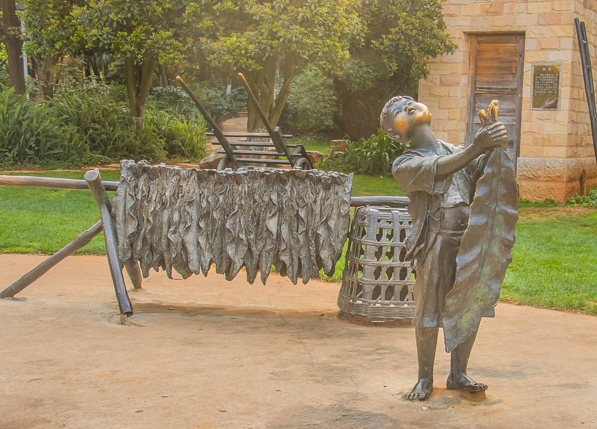 2025-06-08云南玉溪红塔山公园（一）