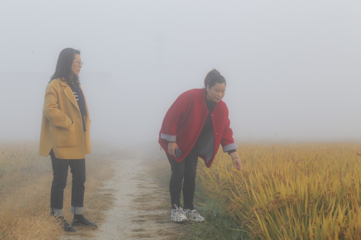 百微拍一些人像