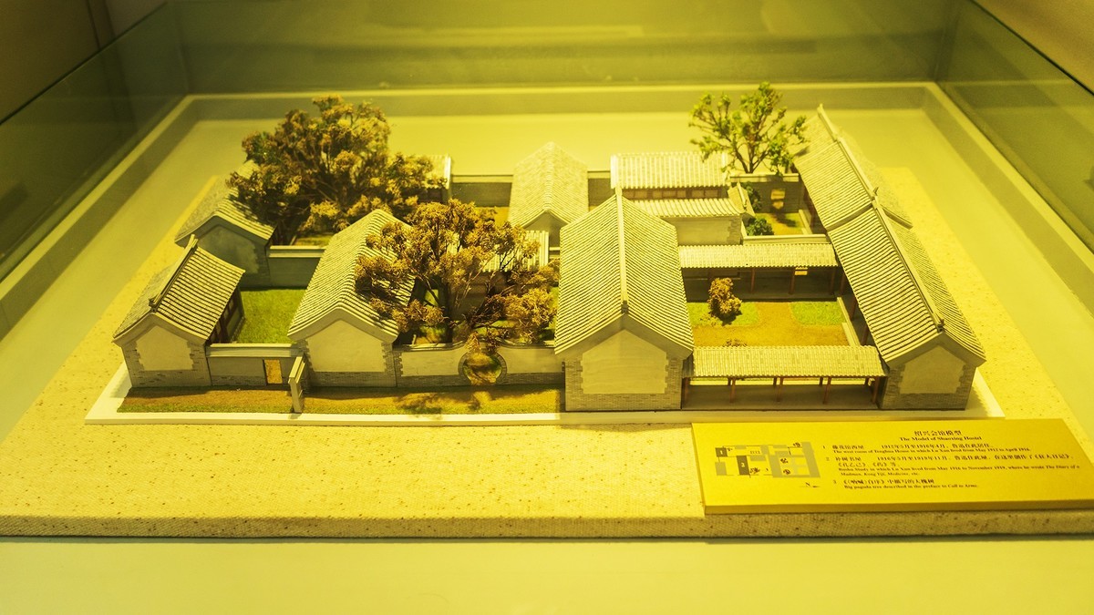 访鲁迅博物馆：一株是枣树，还有一株也是枣树（上）