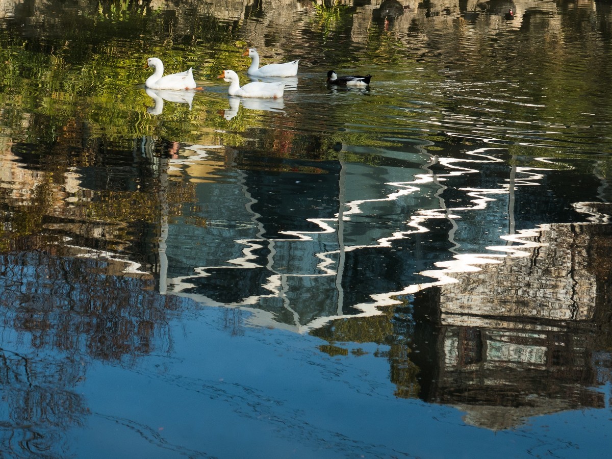 得丘礼享谷（2）