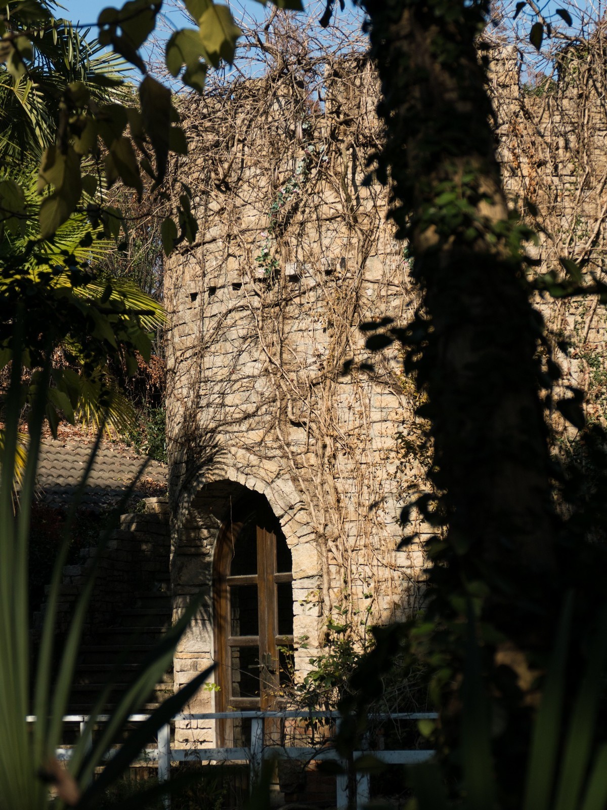 得丘礼享谷（2）