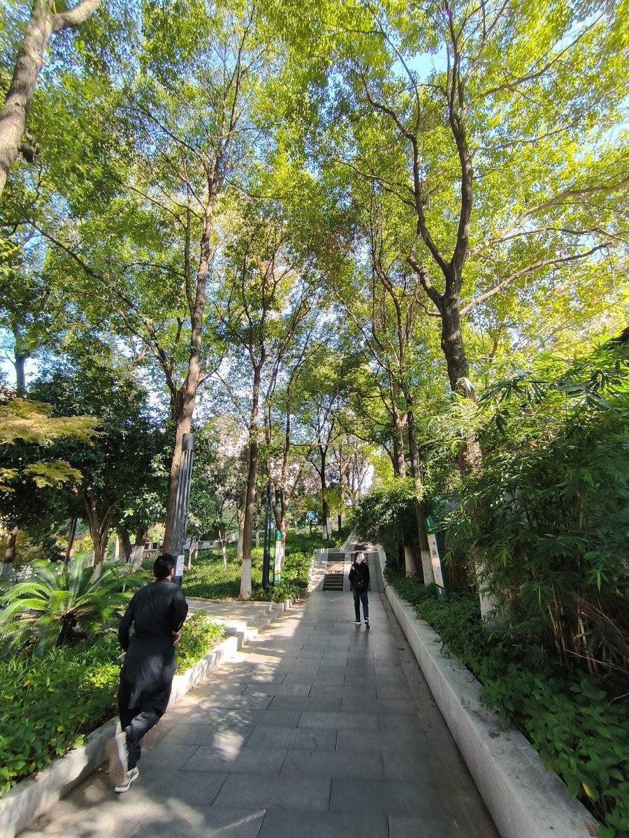 漫步星城 走街串巷（580）白沙井