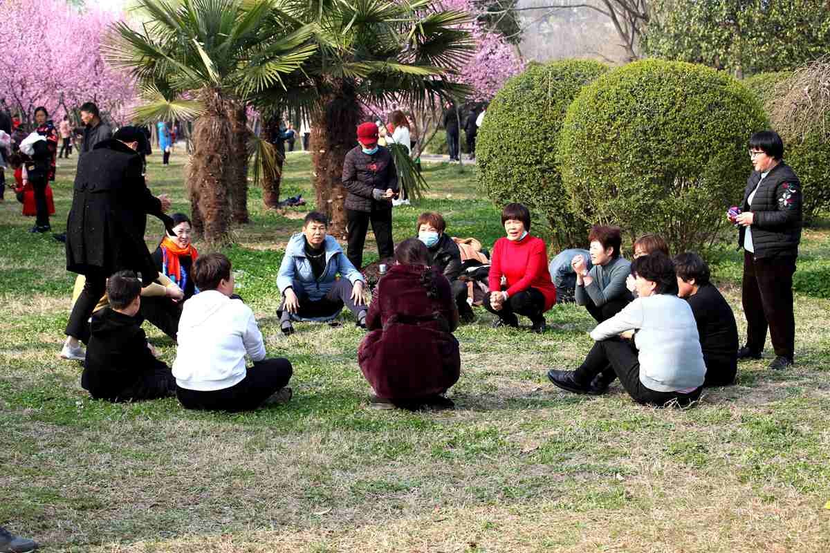 不忘儿时   抓小鸡  丢手绢