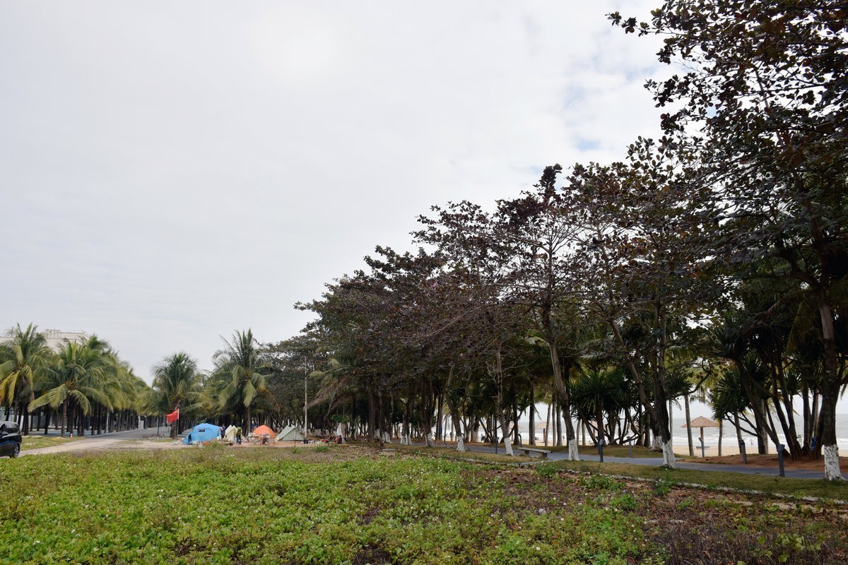 2023春节 桂粤行（10）电白区海滨二路