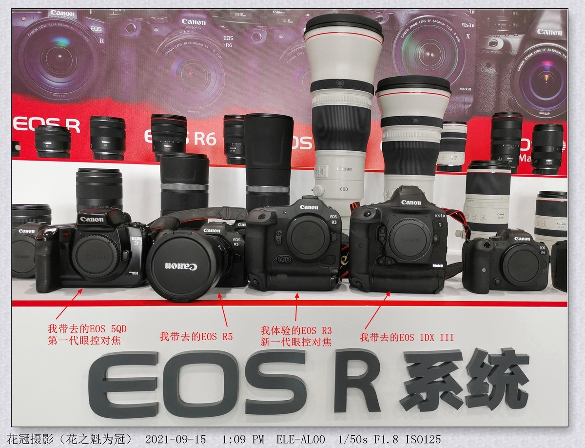 佳能高管说：EOS R系统或有更多机型将搭载眼控对焦。因此引出我的思绪涟漪！