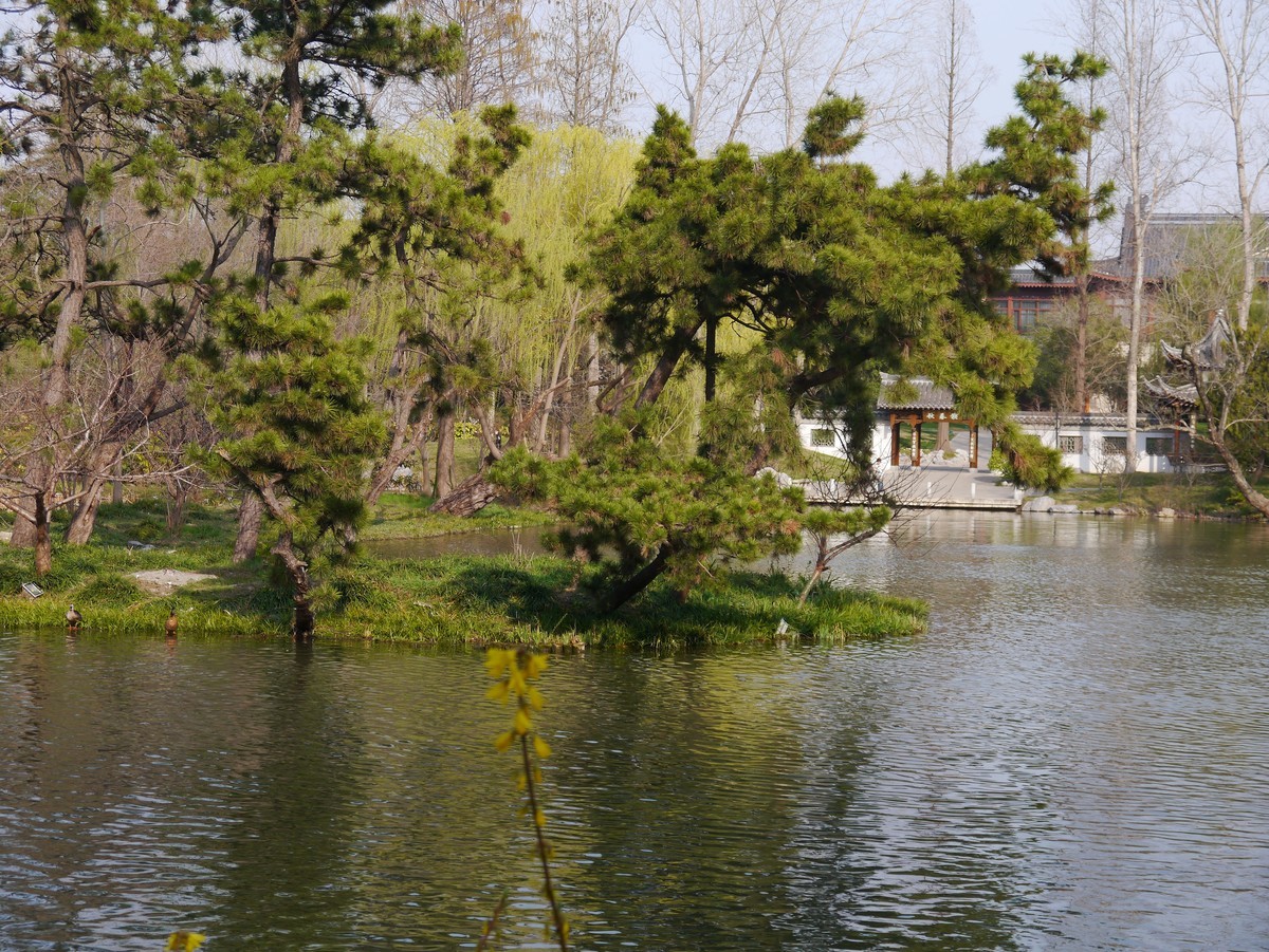 江南行之扬州篇--瘦西湖赏花（3）