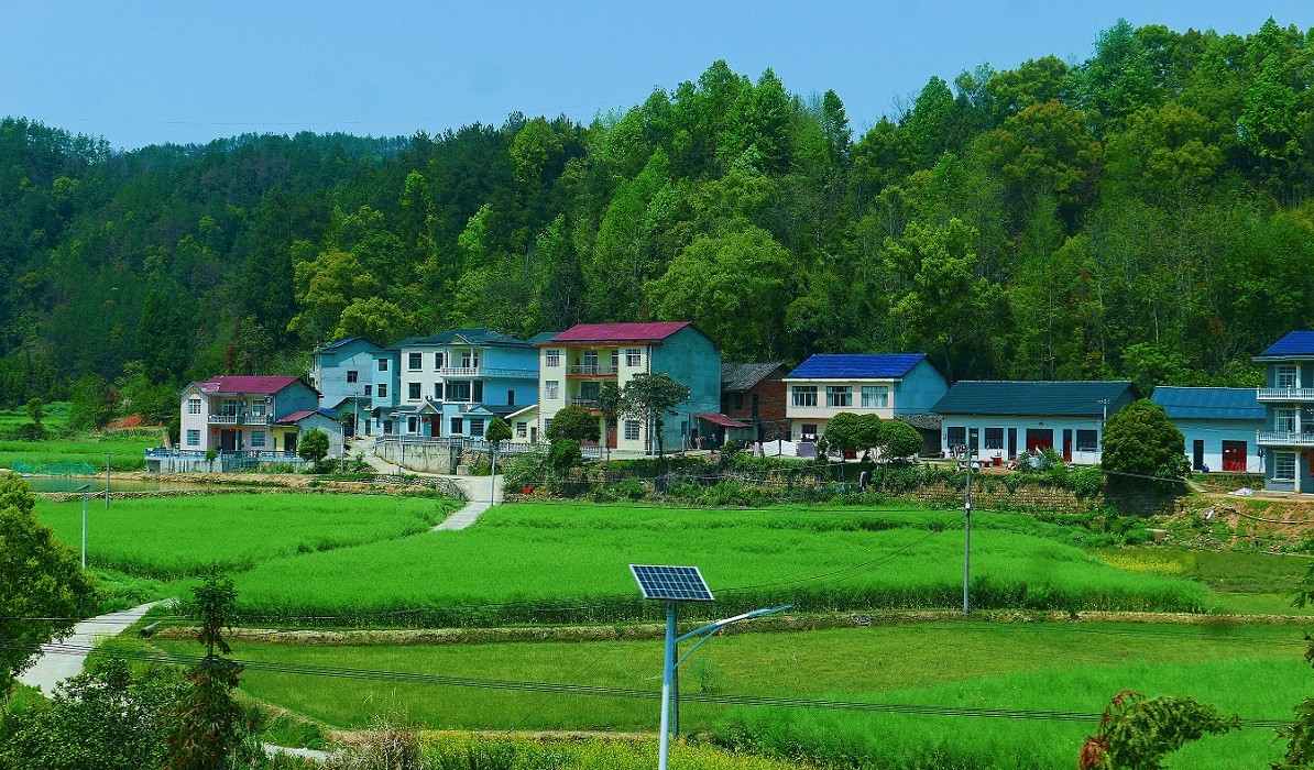 溜圈扫街抓拍片《风景，花草还有跳舞的美女》