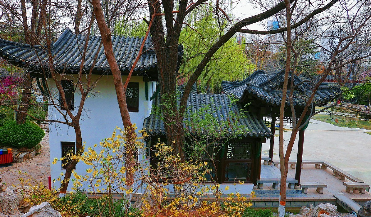 溜圈扫街抓拍片《风景，花草还有跳舞的美女》