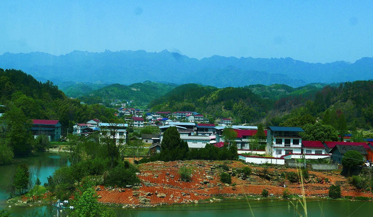 溜圈扫街抓拍片《风景，花草还有跳舞的美女》