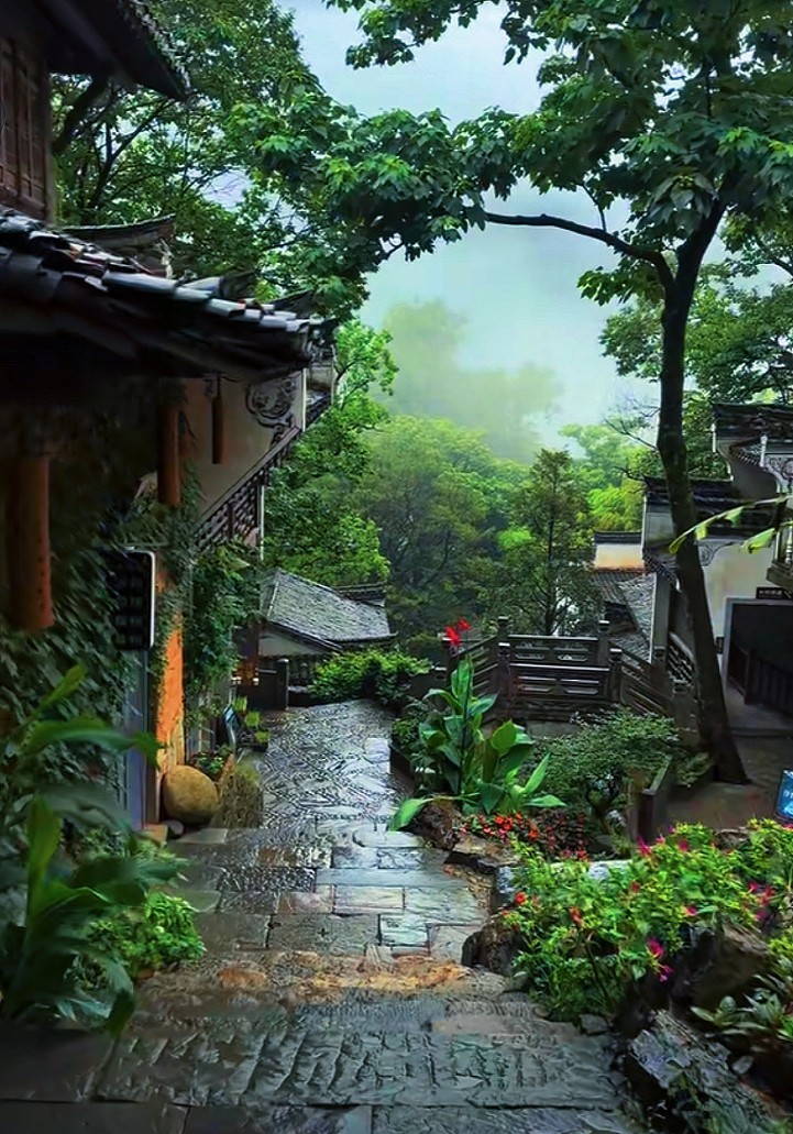 溜圈扫街抓拍片《风景，花草还有跳舞的美女》