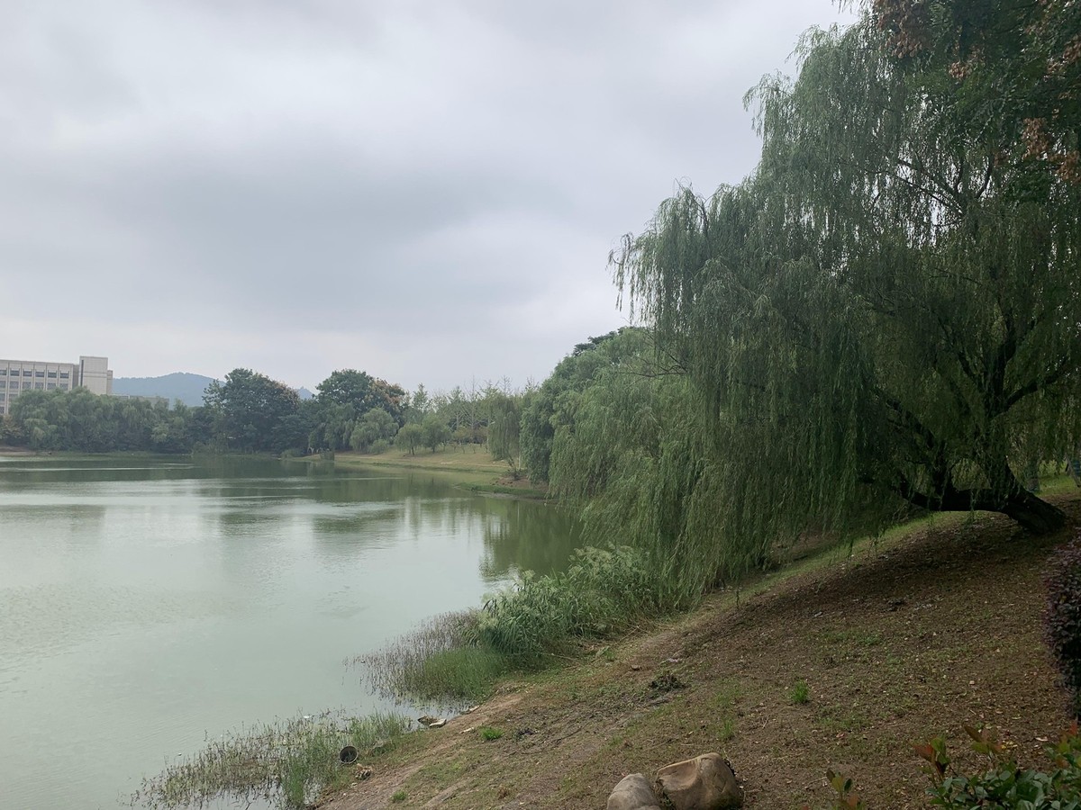 中南大学新校区1[手机版]